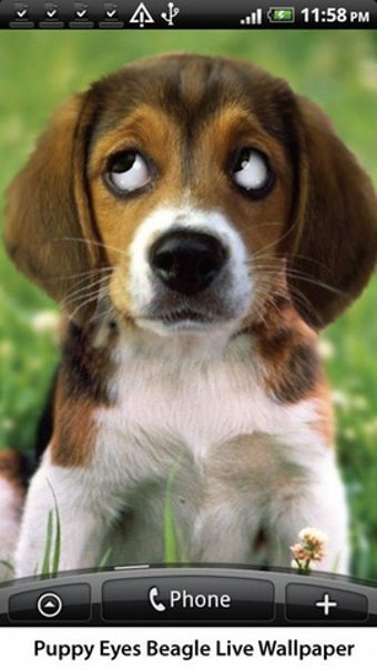 Image 1 for Puppy Beagle Live Wallpap…