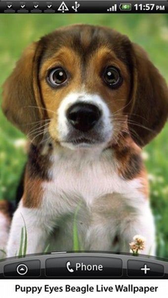 Image 0 for Puppy Beagle Live Wallpap…
