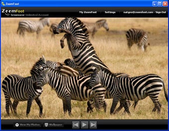 Imagen 0 para ZoomFoot Group Screensave…