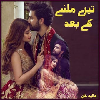 Image 0 for Tere Milne Kay Baad - Urd…