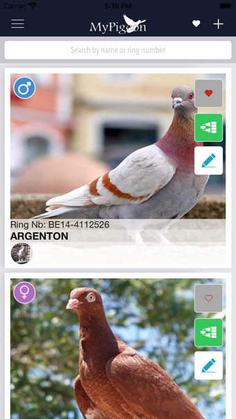 Imagen 0 para MyPigeon App