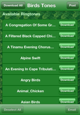 Image 0 for 200+ Birds Ringtones - Be…