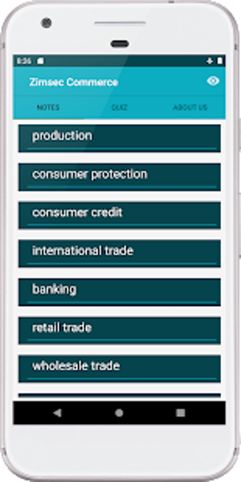 Image 1 for Zimsec Commerce Revision