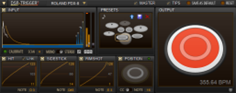 Imagen 0 para DSP Trigger (32-Bit)