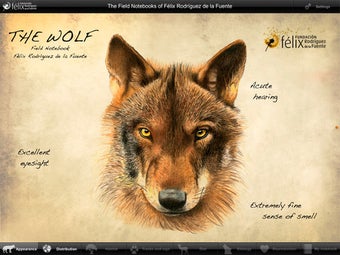 Image 1 for iFelix-WOLF Lite