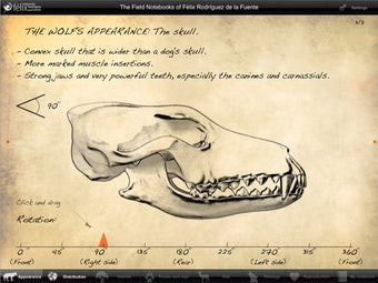 Image 2 for iFelix-WOLF Lite
