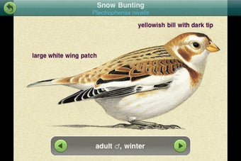 Image 2 for Birds of Britain and Irel…