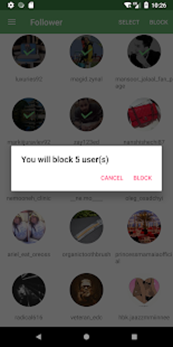 Imagen 1 para Cleaner for IG