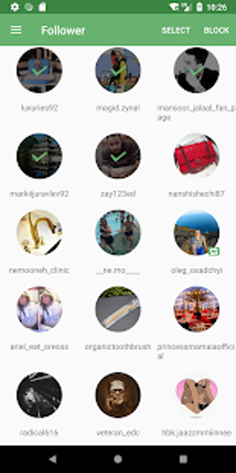 Imagen 2 para Cleaner for IG