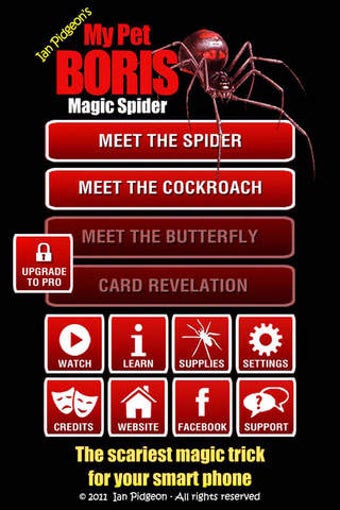 Image 0 for Magic Spider