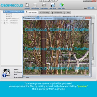 Image 2 for Data Recovery for Windows