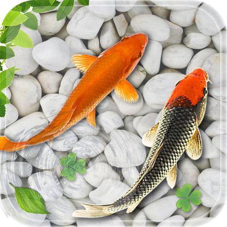 Aplicaciones Como Koi Fish