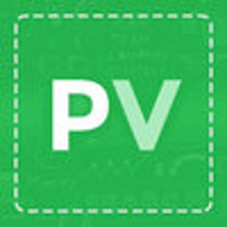 Paidverts Logo