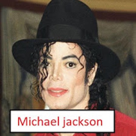 Michael Jackson Nose Costume