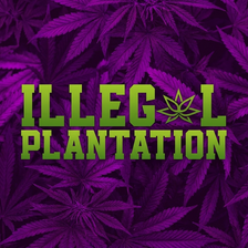 Illegal Plantation para Windows - Descargas gratis y análisis de ...
