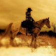 Icon of program: EQUiTrail