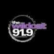 Icon of program: Wildcat 91.9