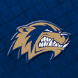 Icono de programa: Bentonville West Wolverin…