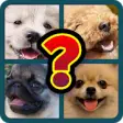 Icon of program: Dog Breed Identifier Game…
