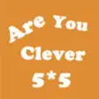 Icon of program: Are You Clever - 5X5 Puzz…
