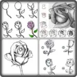 Icon of program: Step by step Drawing Rose
