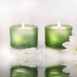 Icono de programa: Green Relax Screensaver