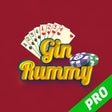Icono de programa: Gin Rummy Pro for Windows…
