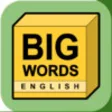 Icon of program: Big Words, English
