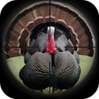 Icon of program: Turkey Hunting Calls