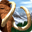 Wildlife Park: Wild Creatures icon