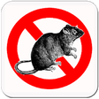 Icon of program: Anti Rat Pro