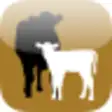 Icon of program: Cow-Calf Today