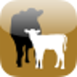 Icono de programa: Cow-Calf Today