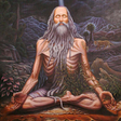 Icon of program: Yogi