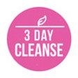 Icon of program: 3 Day Cleanse - High Raw …