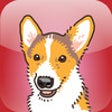 Icon of program: Catch The Dog!