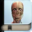 Icon of program: Explain 3D: Human body