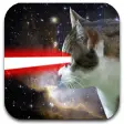 Icon of program: Cat Laser