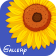Icono de programa: Gallery