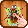 Icono de programa: Cockroach Smasher Game