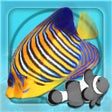 Icon of program: MyReef 3D Aquarium 2 Lite
