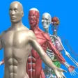 Icon of program: Human anatomy system & pa…