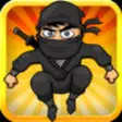 Icon of program: Ninja Catch: Deadly Ninja…