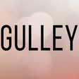 Icono de programa: Gulley Bail Bonds