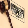 Icon of program: Intellectual property law