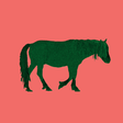 Icon of program: Chincoteague Pony Names