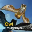 Icon of program: Owl Multiplayer