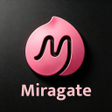 Icon of program: Miragate - Design Perfect…