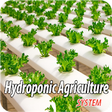 Icon of program: Hydroponic Agriculture Sy…
