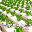 Icon of program: Hydroponic Agriculture Sy…